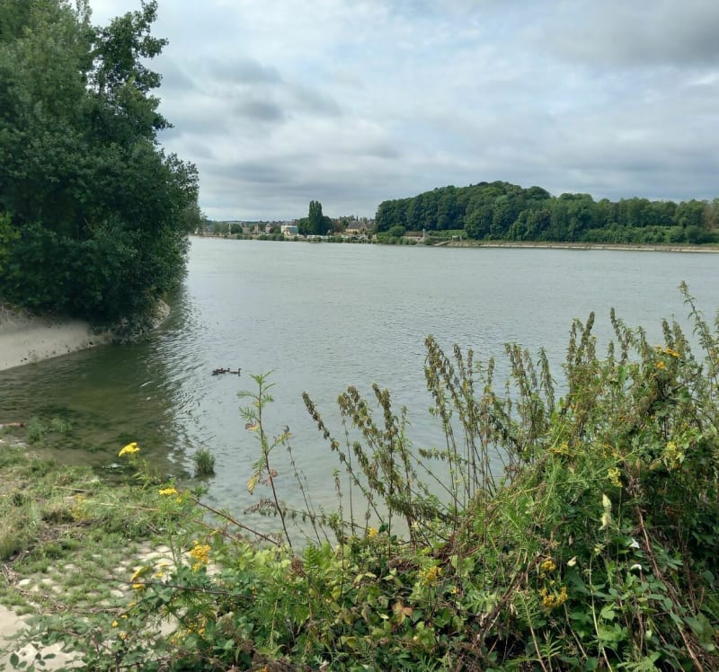 De l'air entre Duclair et les bords de Seine - Duclair