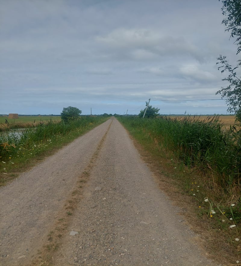 Parcours entre campagne et plage vers la Tranche-sur-Mer - La Tranche-sur-Mer
