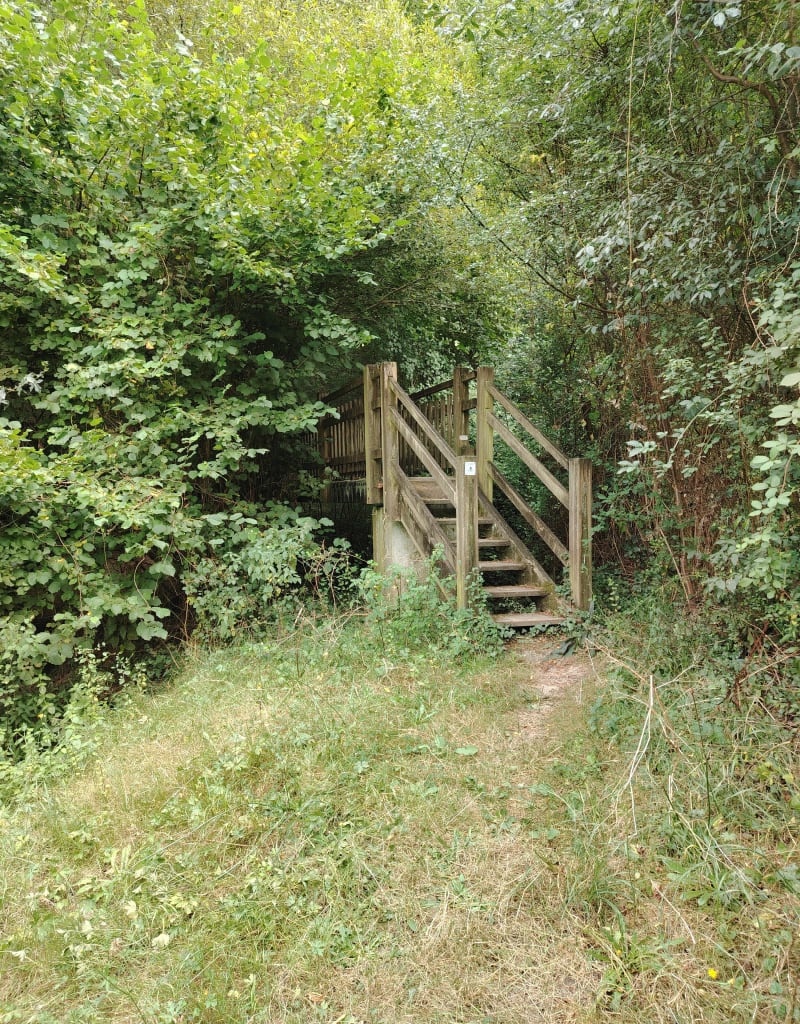 Les sous-bois de Reden autour de La Lande de Fronsac - Saint-André-de-Cubzac