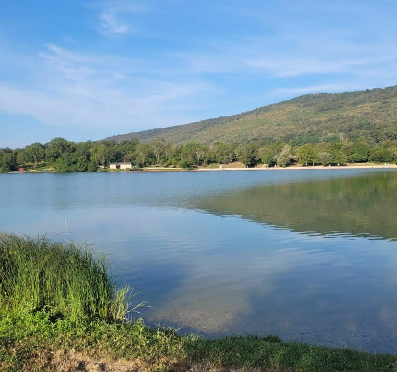 Merpuis rivière de l'Ain - Neuville-sur-Ain