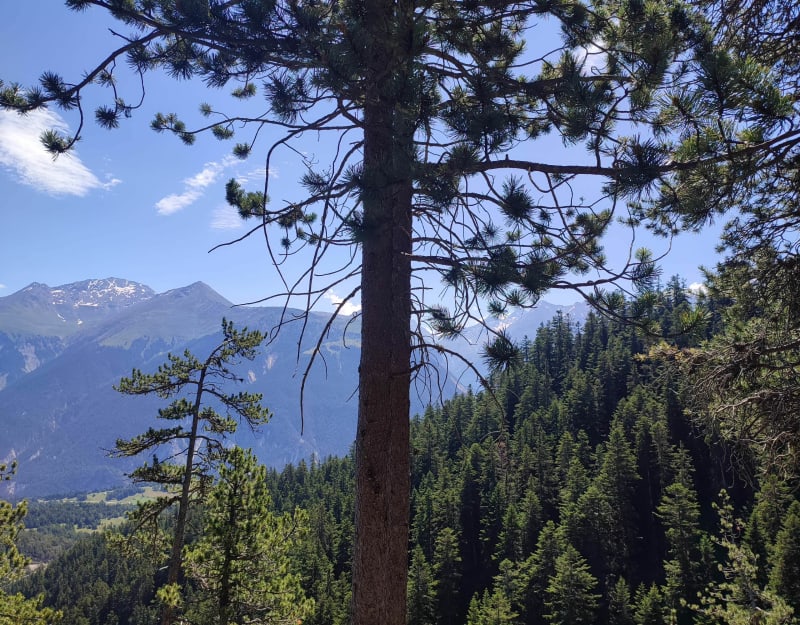 Tour du plateau des Arponts, au départ d'Aussois - Aussois
