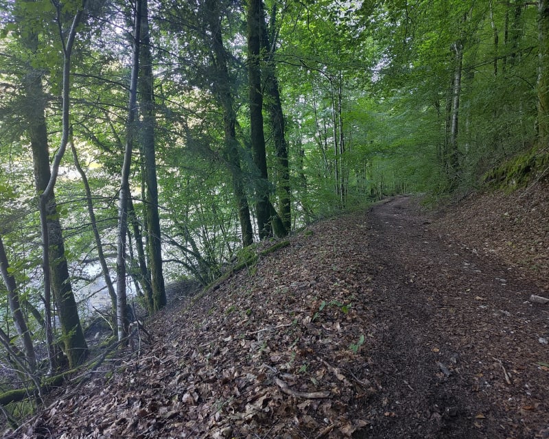 Lac du Val par la forêt - Menétrux-en-Joux
