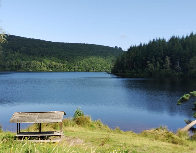 Lac de Vassivière au parc des 1000 Vaches Limousin - Peyrat-le-Château