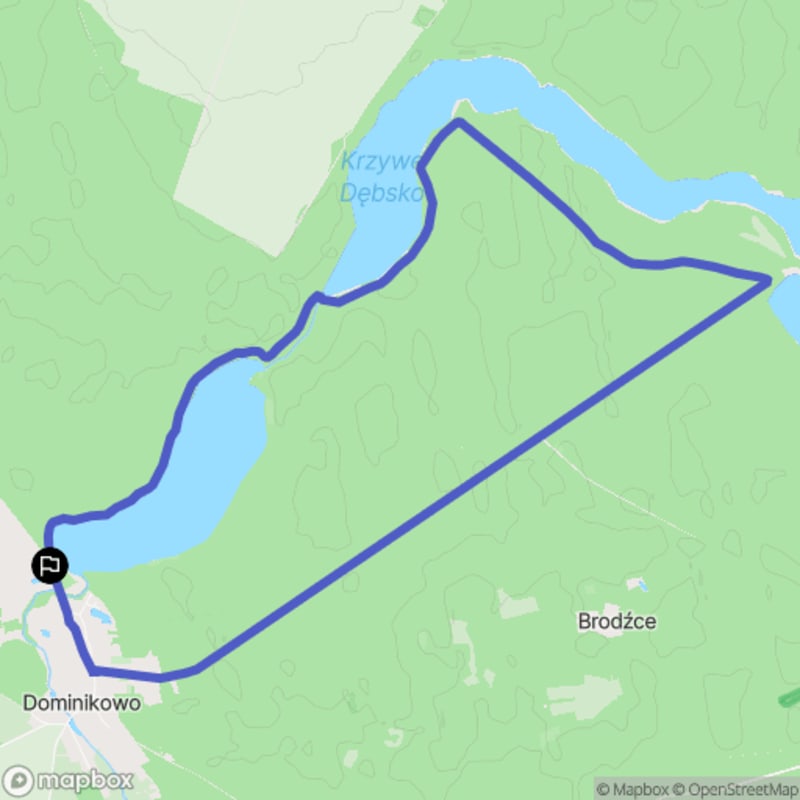 Ścieżka w środku natury - spacer od Dominikowa o dystansie 12,2 km i poziomie trudności średniej. - Dominikowo