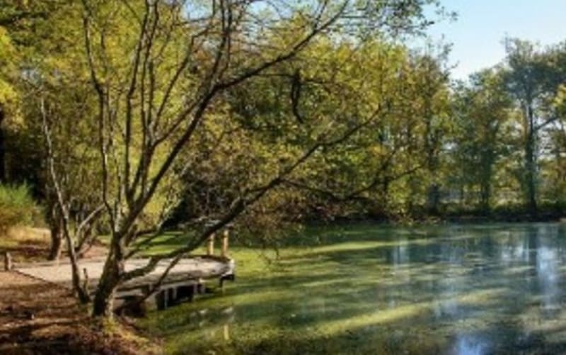 Le tour de la Forêt de Touffou et la campagne environnante. - Le Bignon