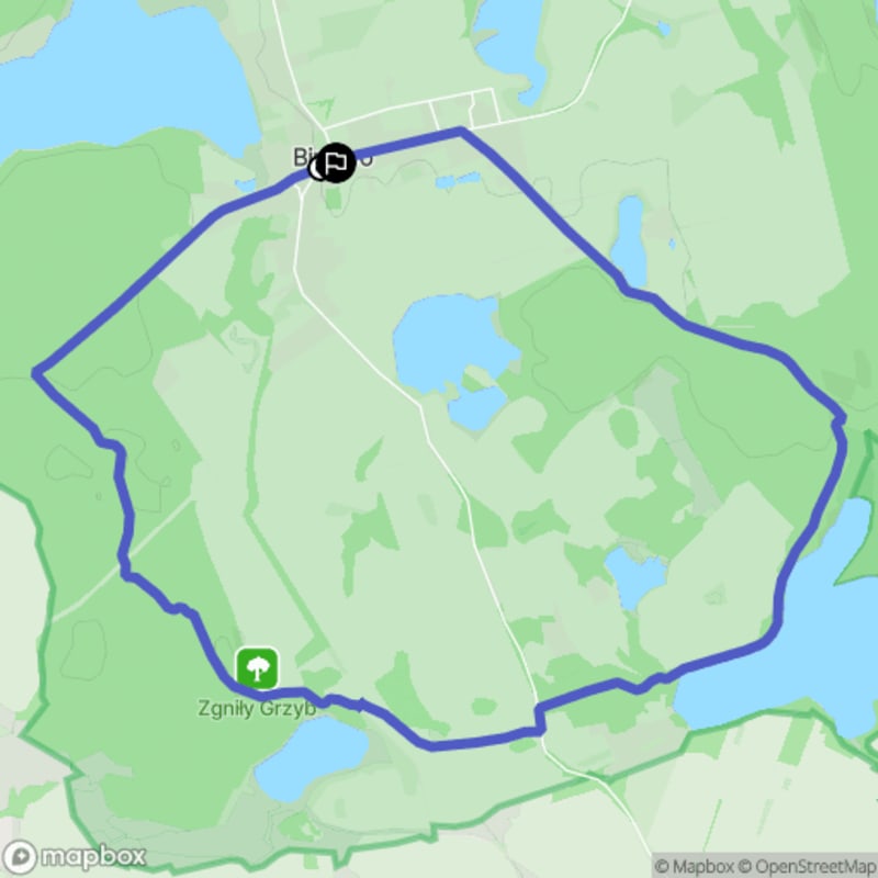 Ścieżka w Binowie o dystansie 8,5 km i poziomie trudności umiarkowanym - Binowo