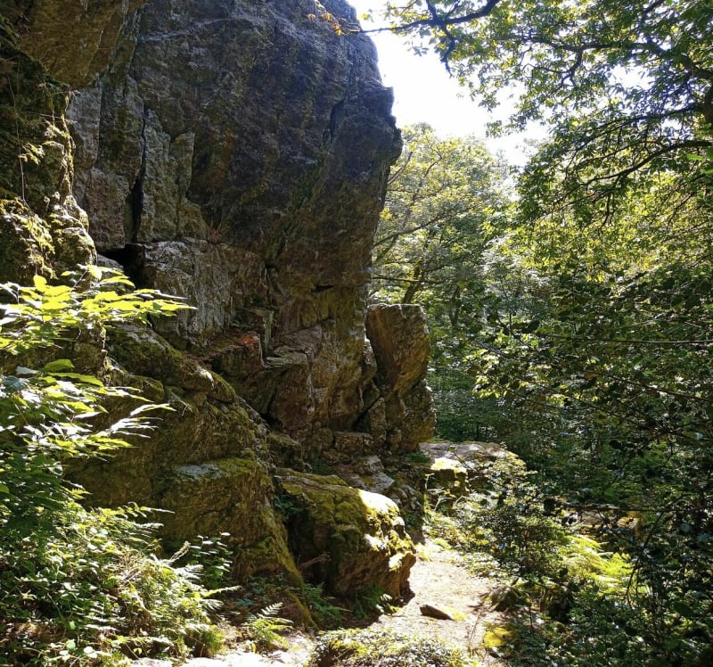 Balade au Saut Rolland - Luitré-Dompierre