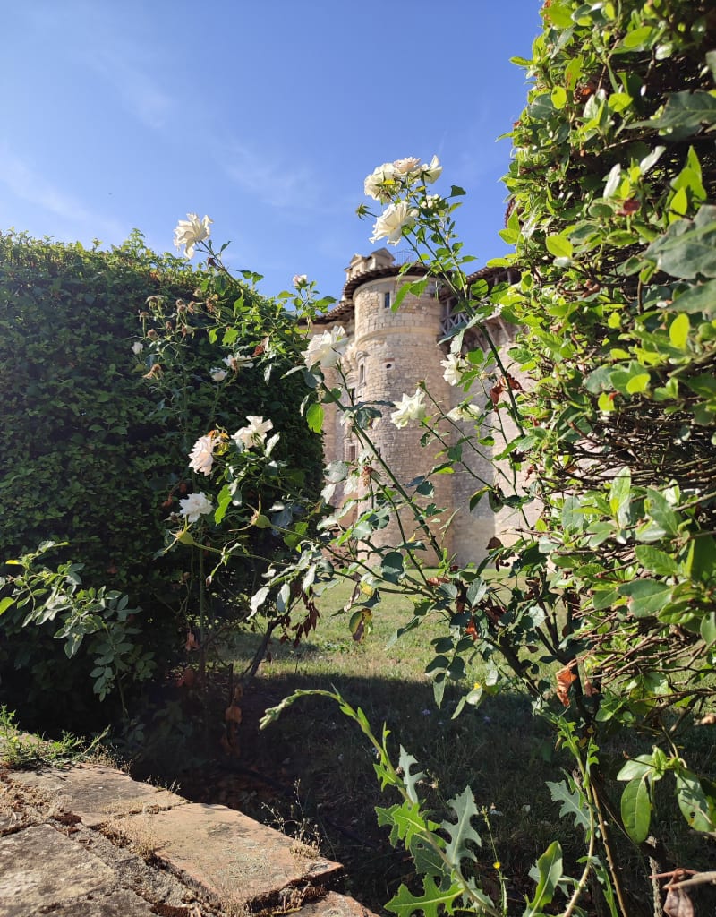 De Tessonière à Mauriac, les vignes par Monts et par Vaux - Gaillac