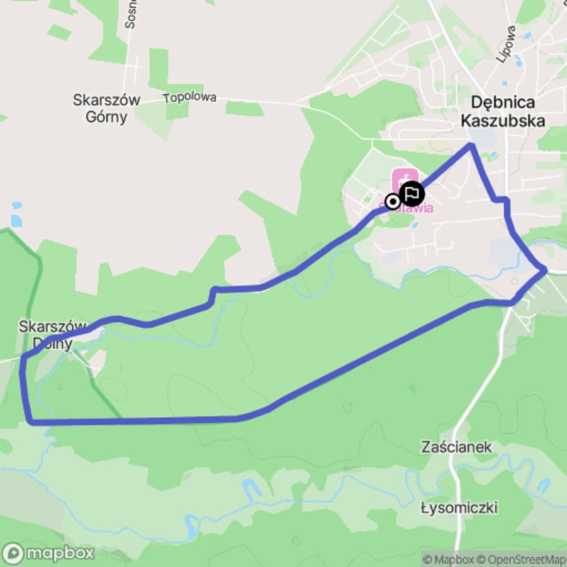 Ścieżka wzdłuż Dębnicy Kaszubskiej o długości 8,1 km z poziomem trudności średniej. - Dębnica Kaszubska