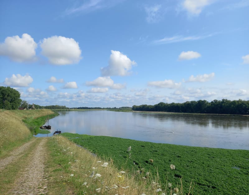 Le val et les bords de Loire depuis Tigy - Tigy