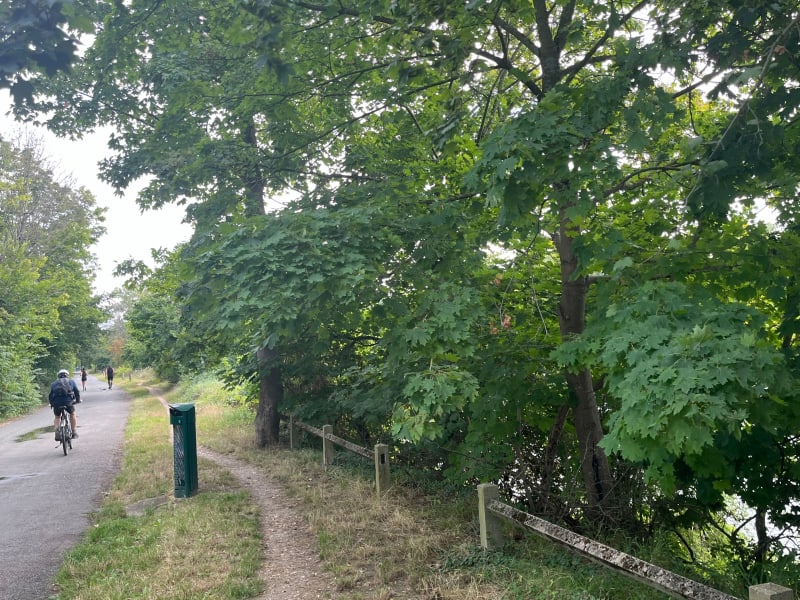 Balade de ville d'Avray au Vesinet - Ville-d'Avray