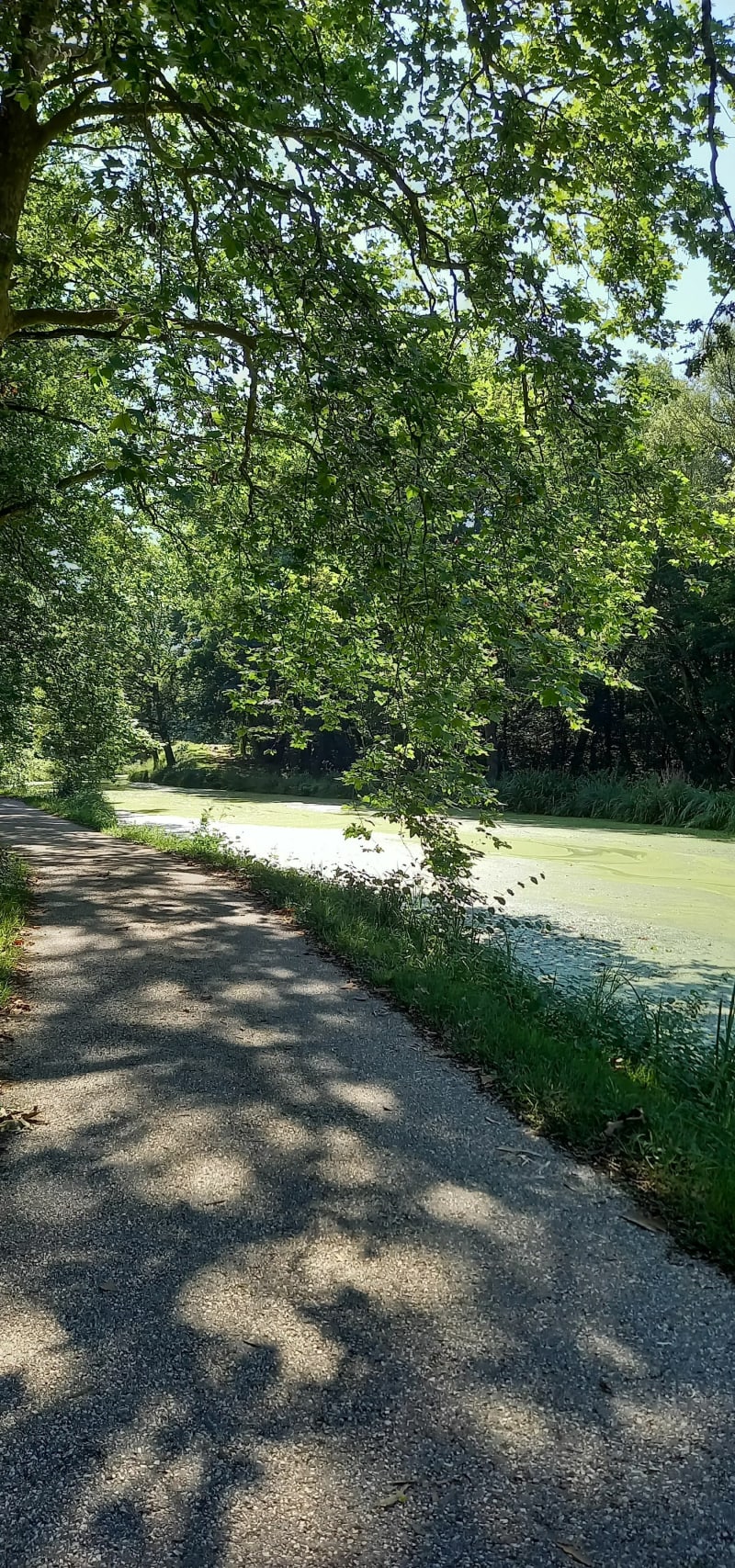 Balade ombragée le long du canal - Saint-Maurice-sur-Fessard