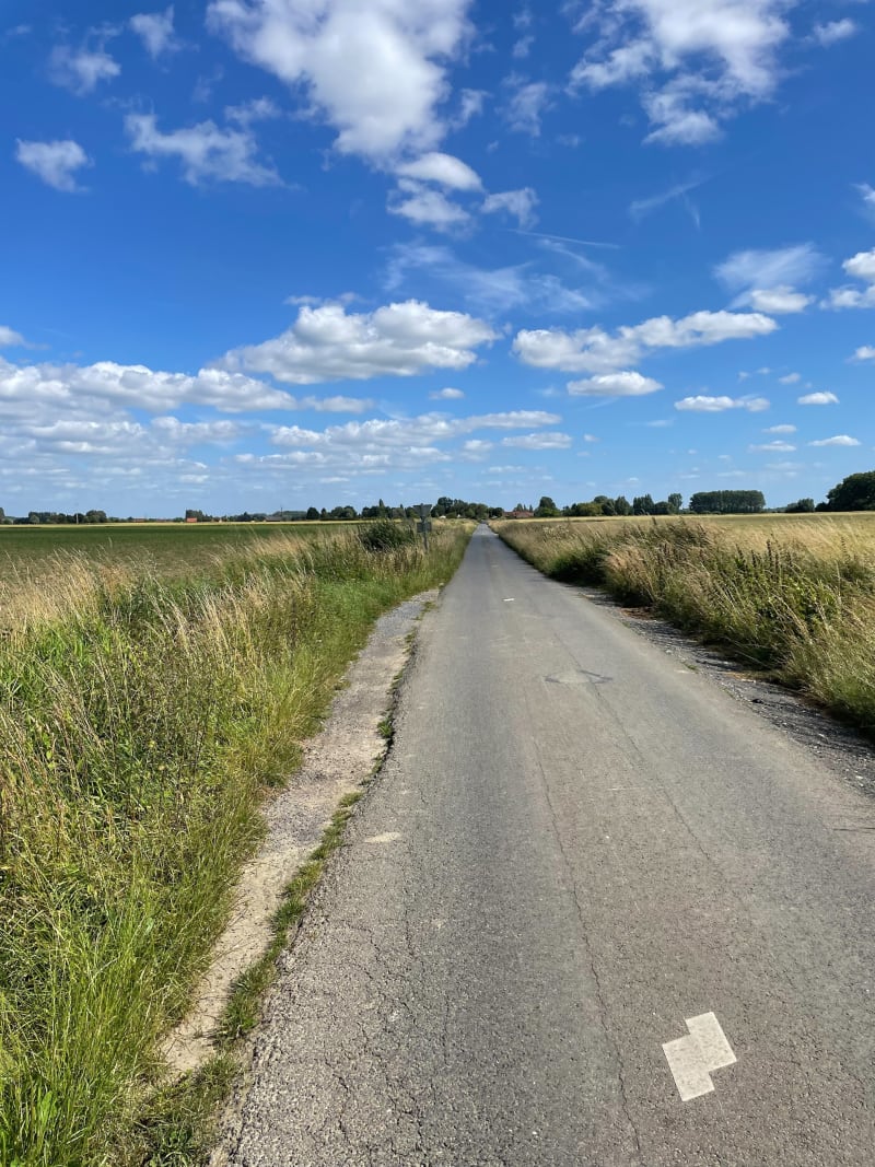 Entre Bois Grenier et Radinghem en Weppes - Bois-Grenier