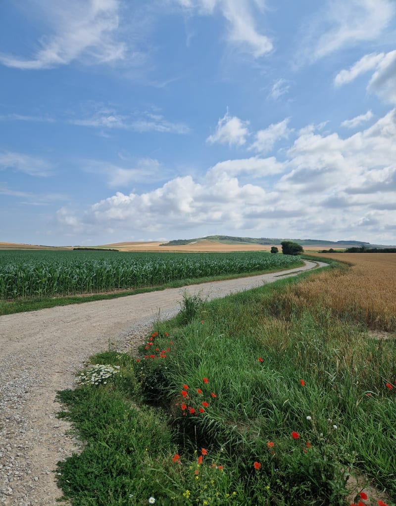 Rando entre mer et  campagne autour de Leulinghen-Bernes - Marquise