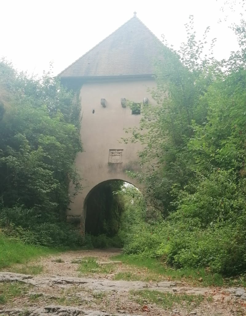 Les pertes de l'Ain et le roche des Sarrasins - Bourg-de-Sirod
