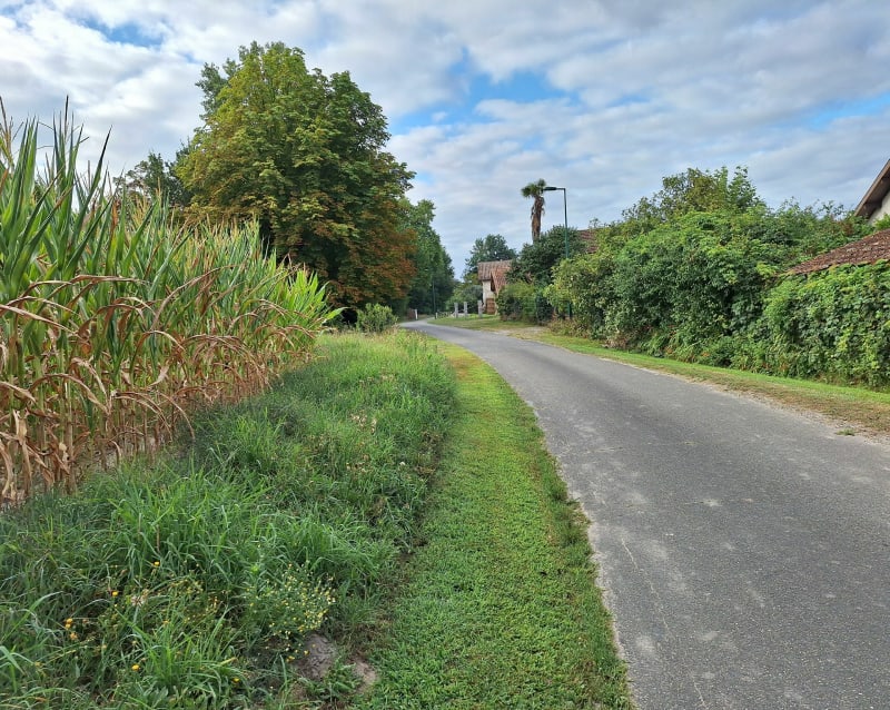 Route Tethieu - Saint-Paul Les Dax - Téthieu