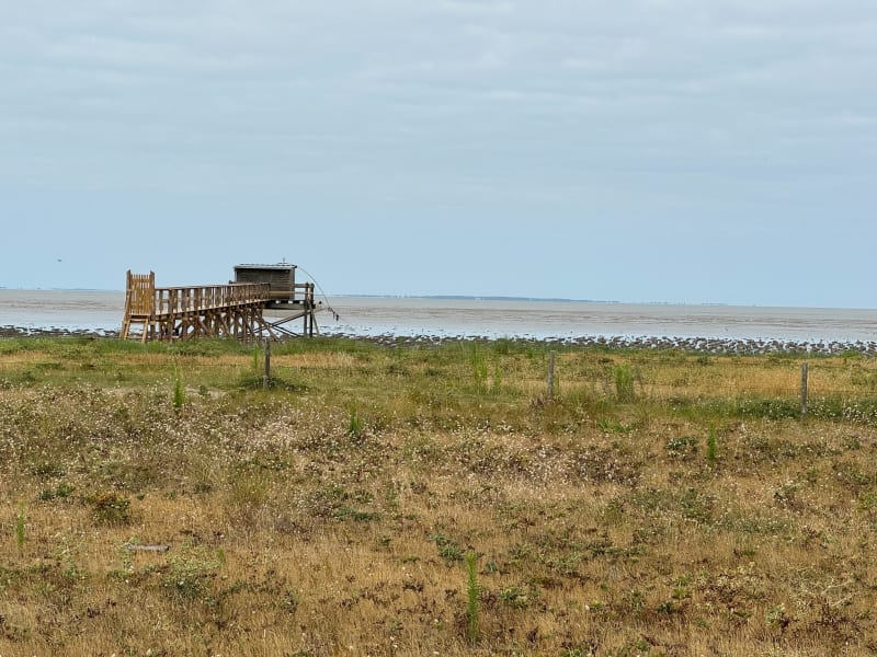 Deux bacs, des huîtres et une pierre tremblante - Saint-Herblain