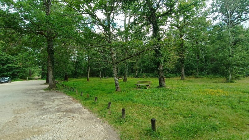 Espace détente de Sologne - Lamotte Beuvron - Lamotte-Beuvron