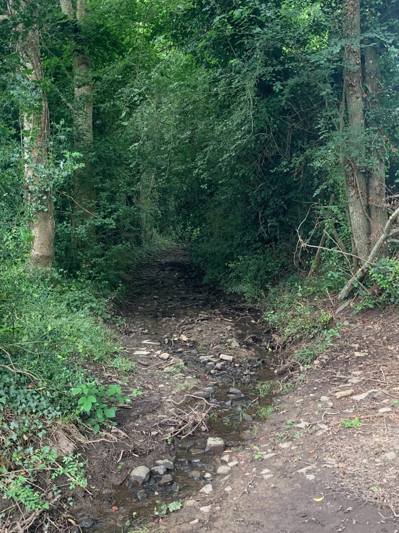 Sentier de la résistance d’Ecouves - Le Cercueil