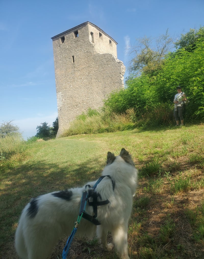 Rando des Vauriens - Vaux-en-Bugey
