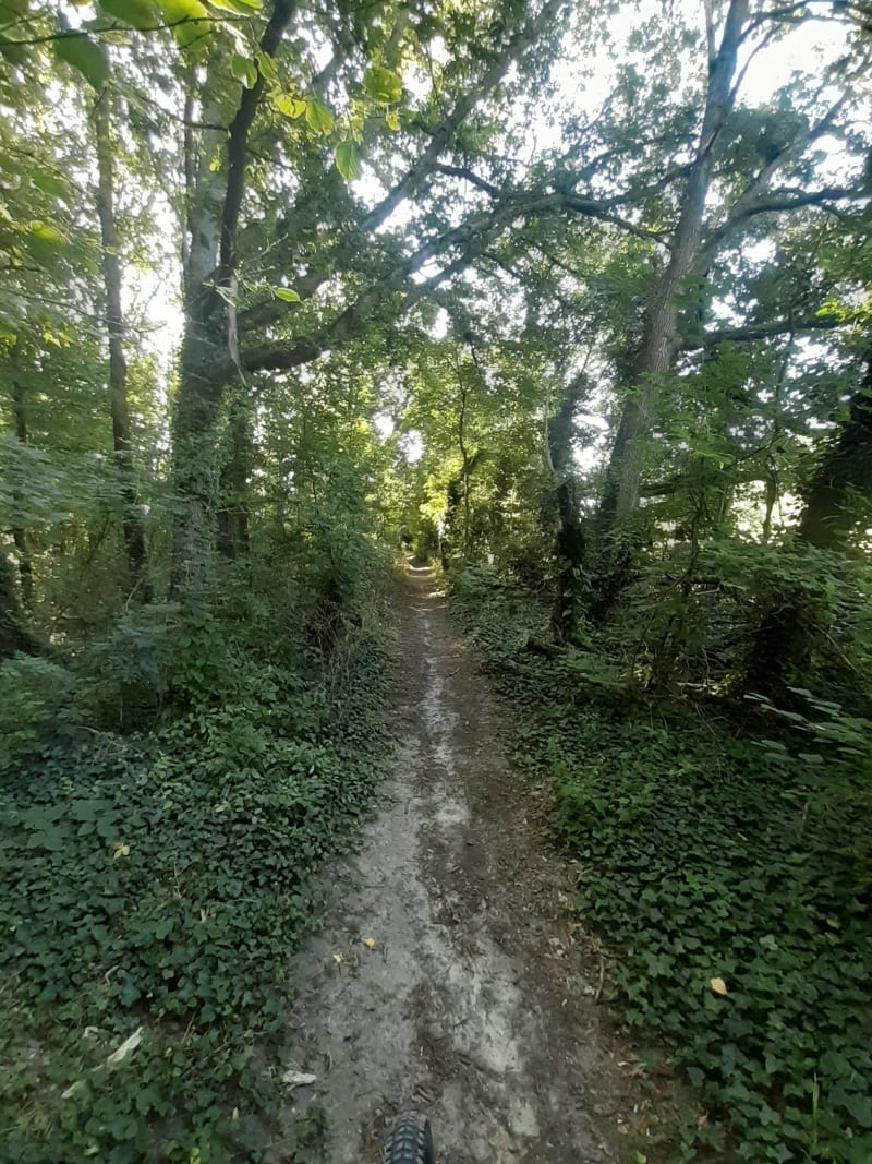 Balade bucolique de Andelu à Orgeval - Andelu