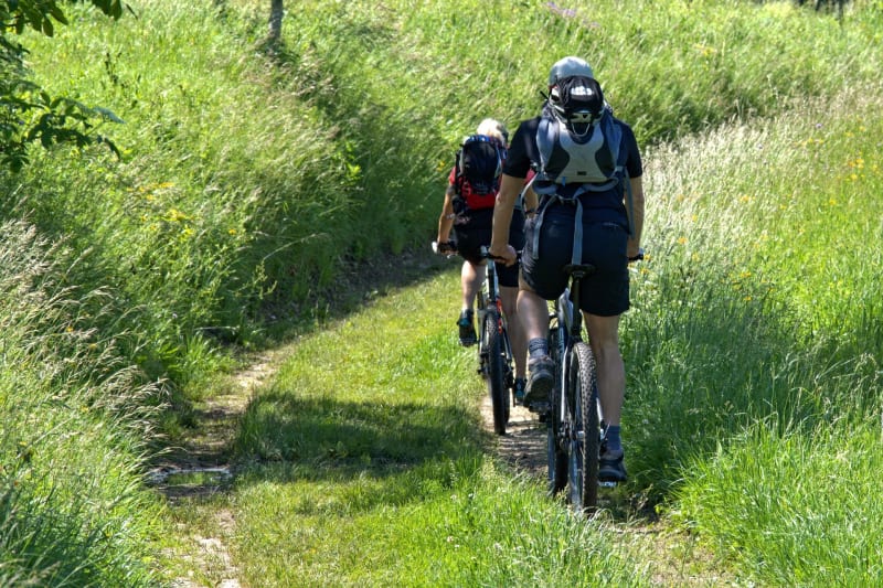 Circuit VTT 64 à Laroche-près-Feyt - Laroche-prés-Feyt