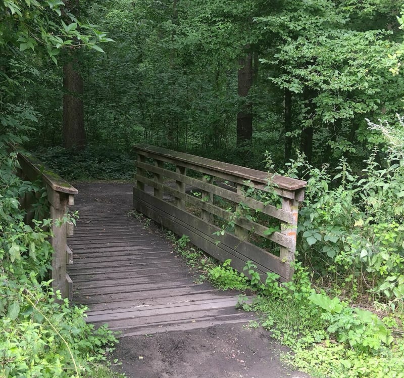 Sentier de la Neuville - La Neuville