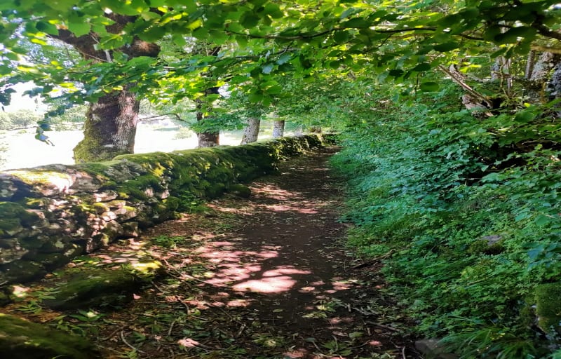 Voie Romaine à Saint-Chély-d'Aubrac - Saint-Chély-d'Aubrac