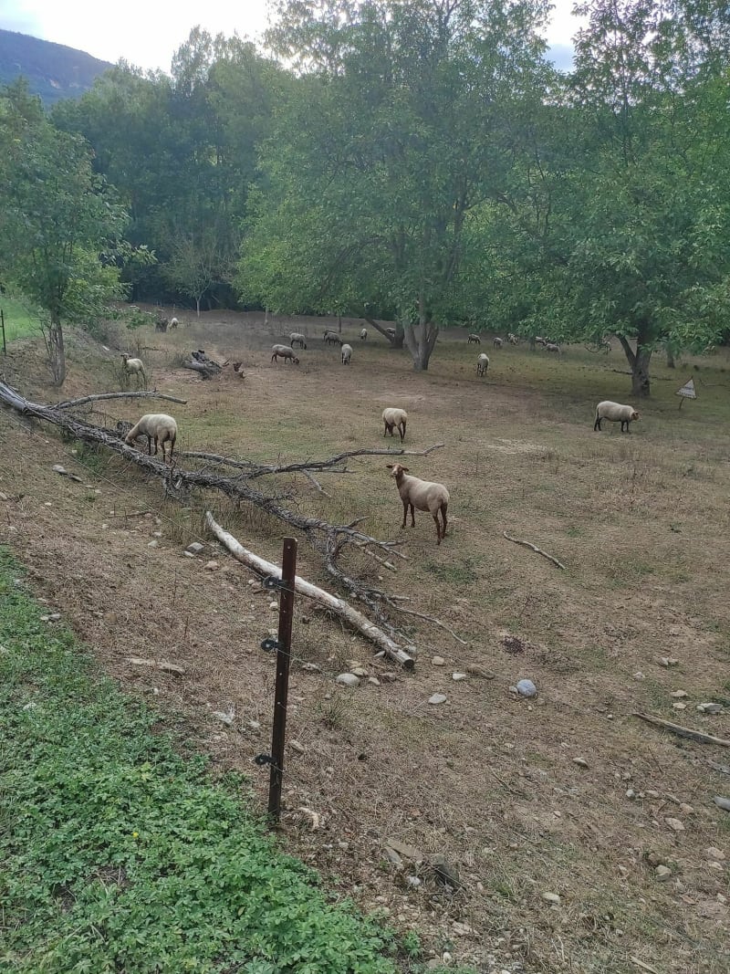 Jolie petite randonnée de Vendemie à Alet-les-Bains - Alet-les-Bains