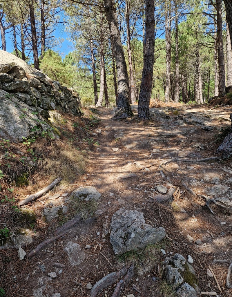 La Punta di a Vacca Morta depuis le refuge de Cartalavone - Porto-Vecchio