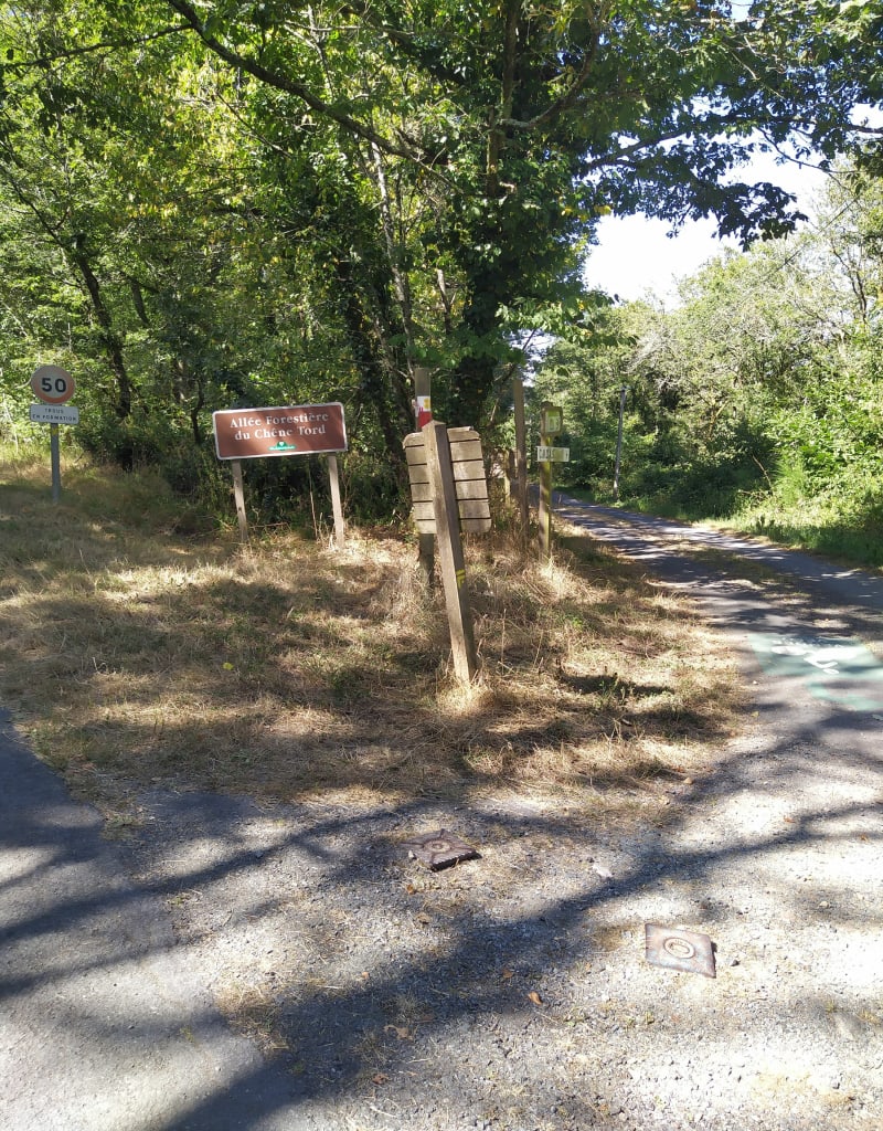 Entre la Mère et la Vendée, par Diet - Mervent