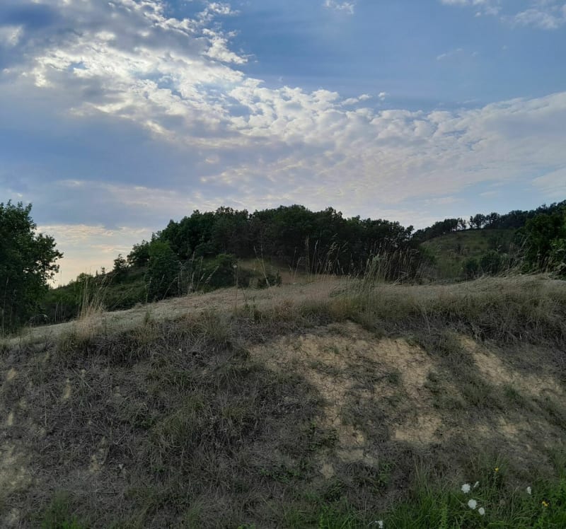 Vallée du Douctouyre - Dun