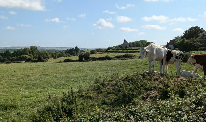 Tardingem les berliques - Tardinghen