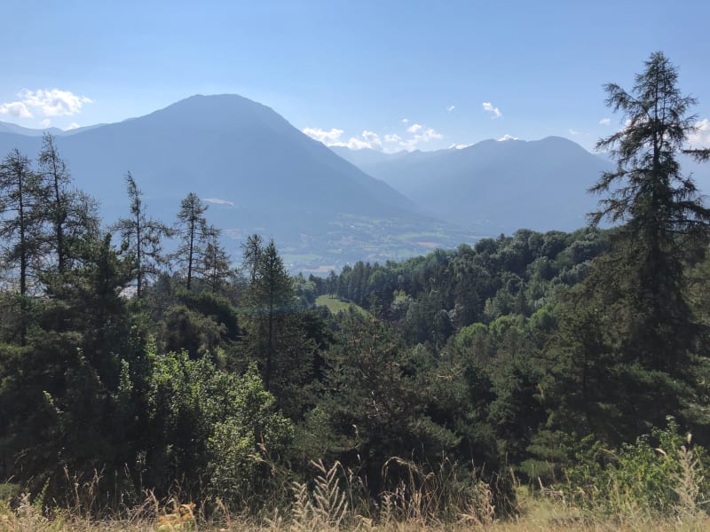 Balade en forêt au dessus de Châteauroux les Alpes - Châteauroux-les-Alpes