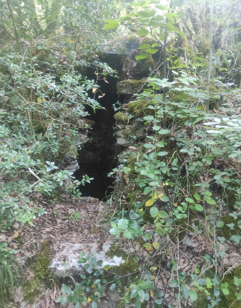 Pêche Biel - la Gourgue - le Martinet - Saint-Antonin-Noble-Val