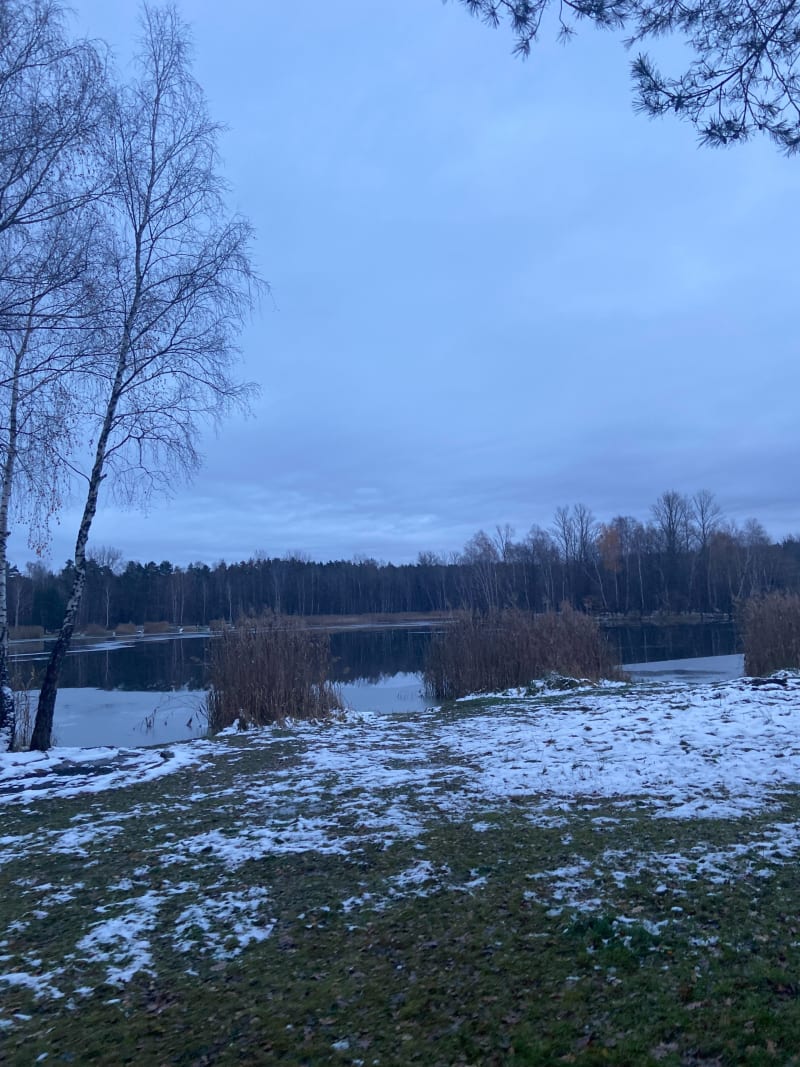Balaton w Sosnowcu z Juliuszowskiej - Sosnowiec