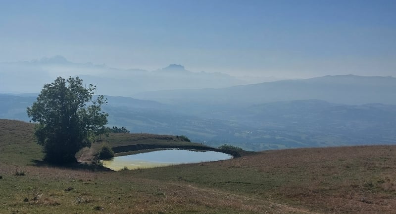 Mont des Princes au départ de Sâles - VTTAE - Rumilly