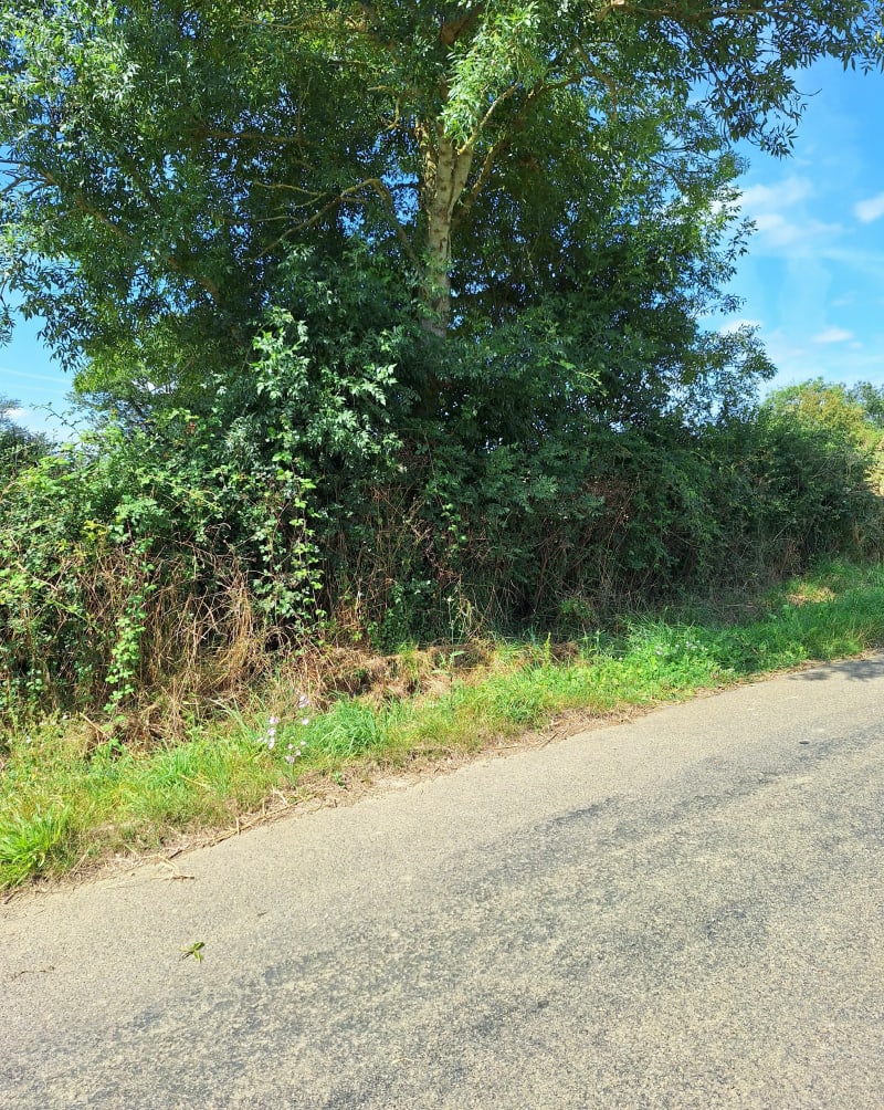 Balade autour de Beaupréau - Beaupréau-en-Mauges