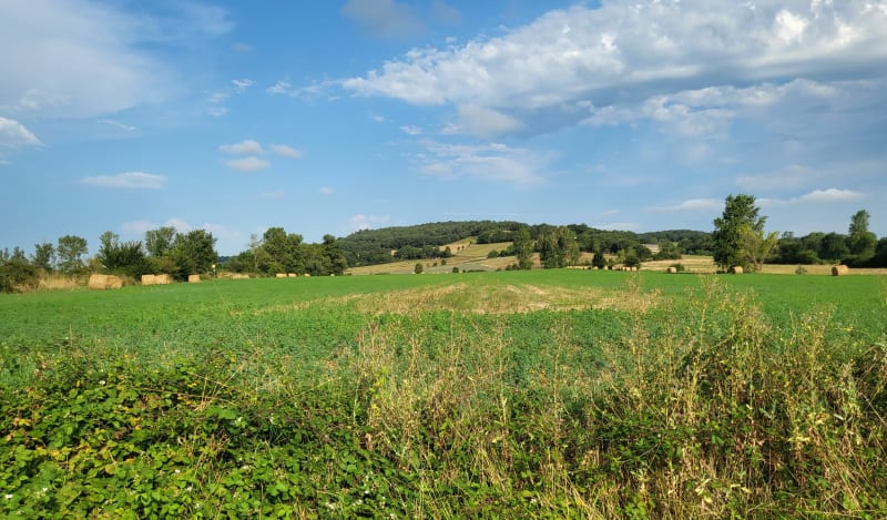 Lo camin de las Peyras - Viviers-lès-Montagnes