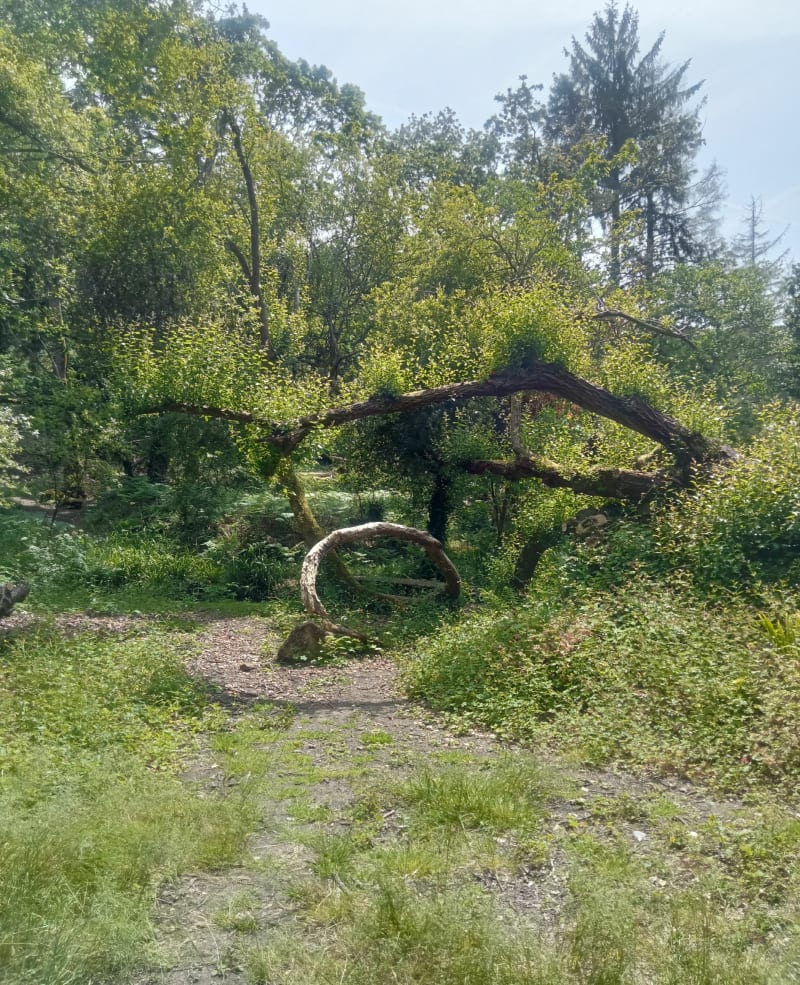 Petite boucle du Lizildry - Plouguiel