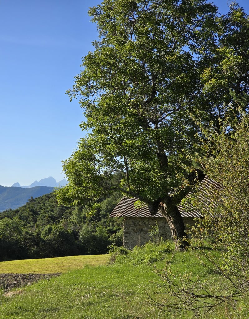 Boucle de Chorges au Lac de Serre-Ponçon - Chorges