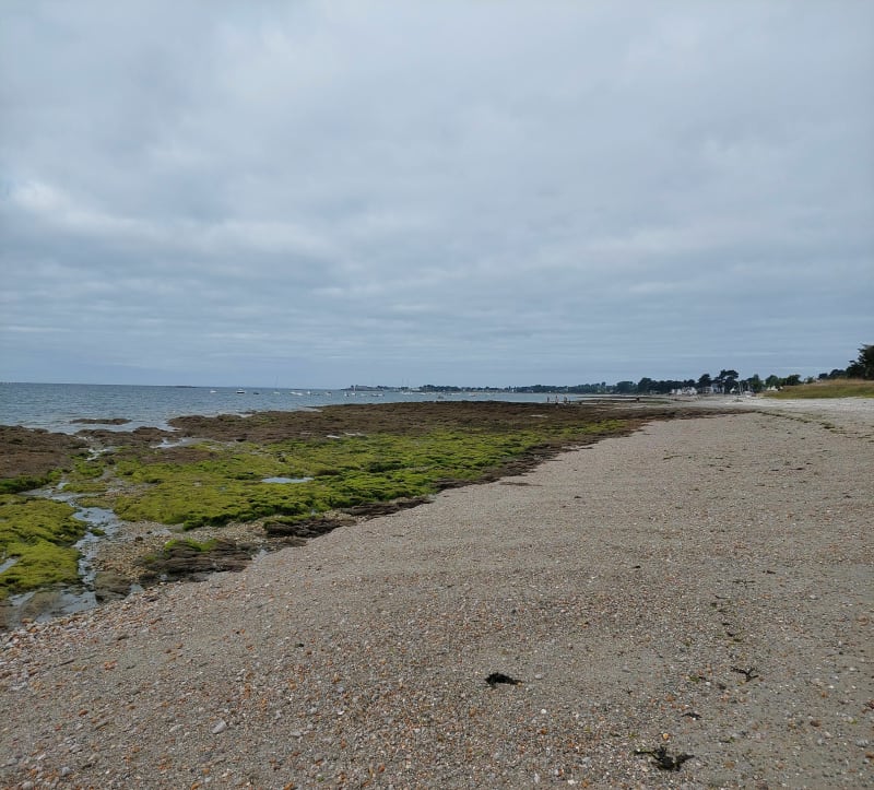 Petite boucle entre mer et champs à Sarzeau - Sarzeau