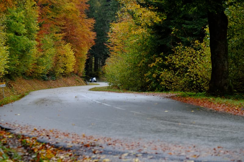 Petit tour depuis le Roulon - Uzemain