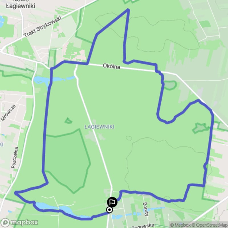 Umiarkowany 4h25 Wędrówka niebieskim szlakiem w Łodzi, Polska (14,2 km) - Łódź