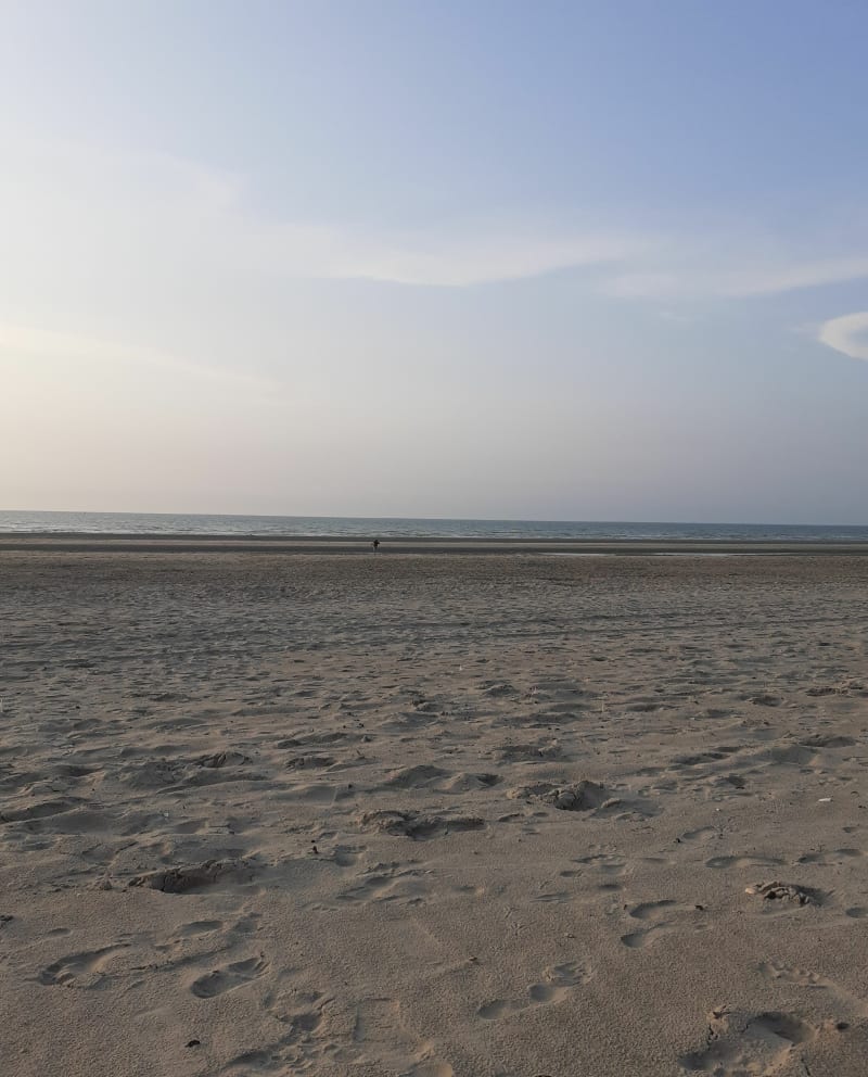 Balade aux môles 1 et 2, retour par le pôle arts et la plage - Leffrinckoucke