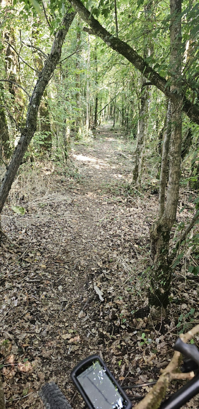 Boucle à Montaigu de Quercy 20km - Montaigu-de-Quercy