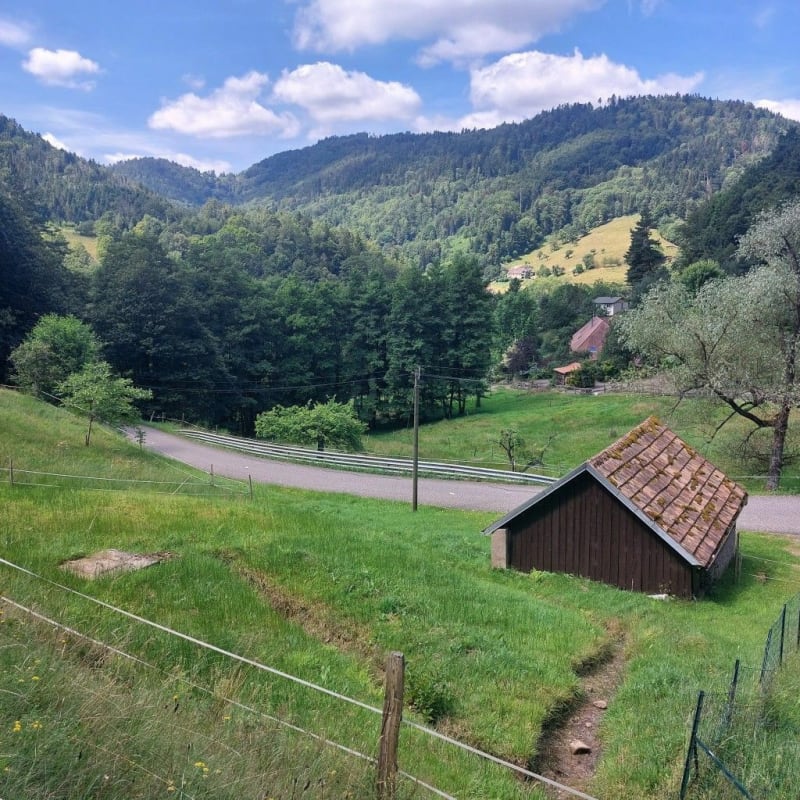 De Sélestat à Sélestat par le Heisentein, col de Fouchy - Sélestat