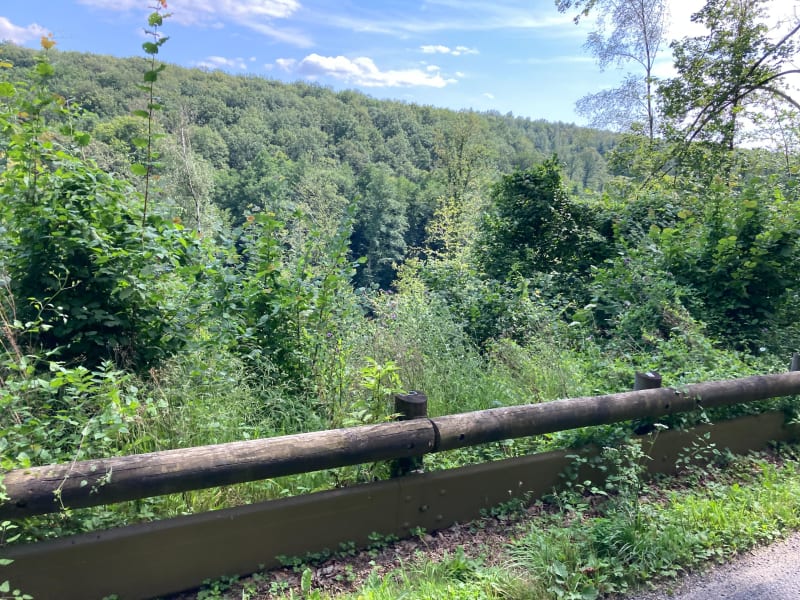 Balade en plein cœur du massif d’Argonne - Le Neufour