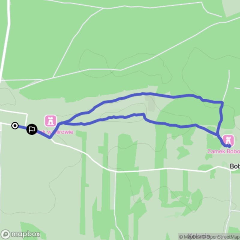 3,7 km trudna wędrówka do zamku Bobolice - Mirów