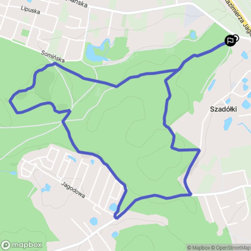 Łatwy 1h45, 5,2km spacer po Lesie Wróblowkowskim w Gdańsku - Otomin